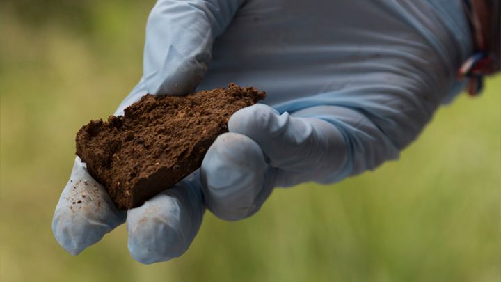 Biorremediación de suelos contaminados costa rica