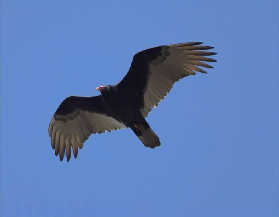 Captura de pantalla 2025 11 04 a la(s) 12.39.38 p. m. Captura de pantalla 2025 11 04 a la(s) 12.39.38 p. m.