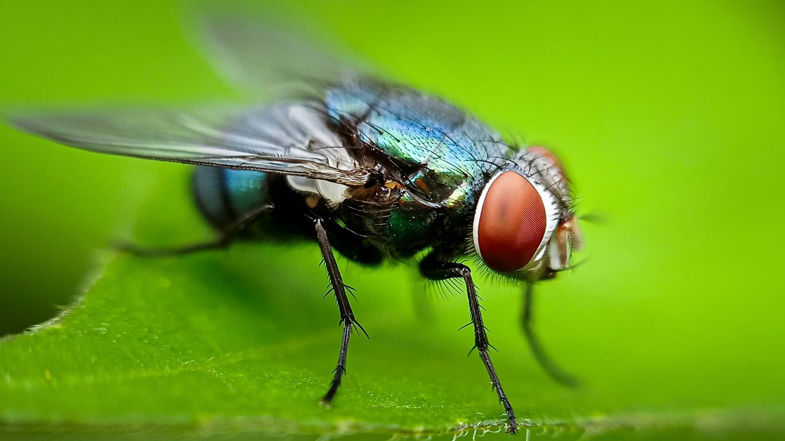 EGTHY4Q2ONGAXNNFRRAFLEE5QQ EGTHY4Q2ONGAXNNFRRAFLEE5QQ