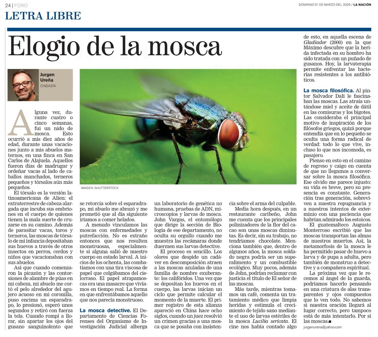 WhatsApp Image 2026 03 01 at 07.03.12 (1) Elogio de la mosca