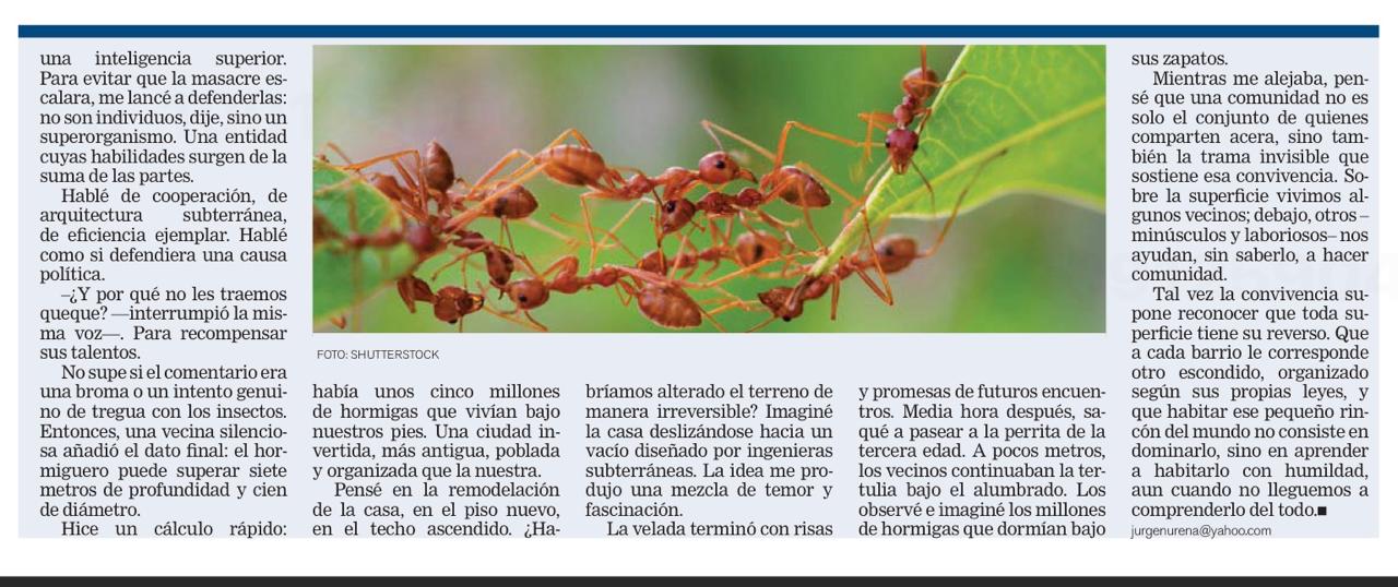 WhatsApp Image 2026 03 22 at 07.19.03 Los vecinos