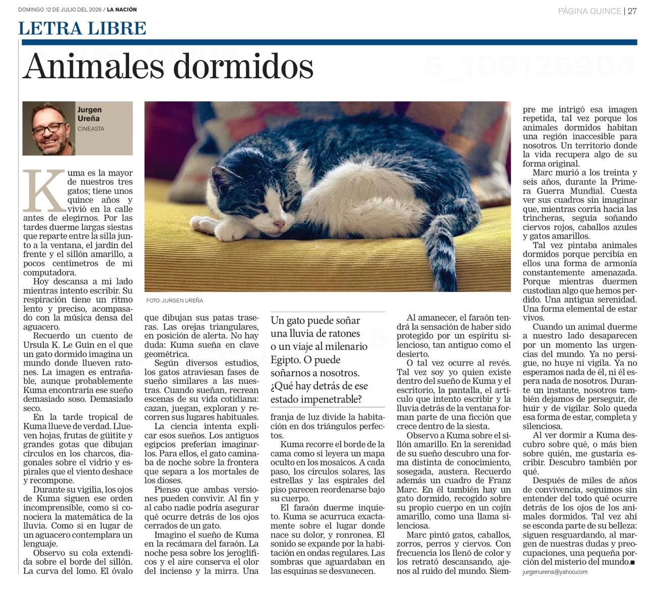 Animales dormidos Animales dormidos