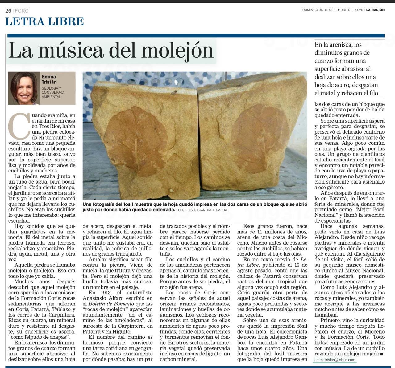 La música del molejón La música del molejón